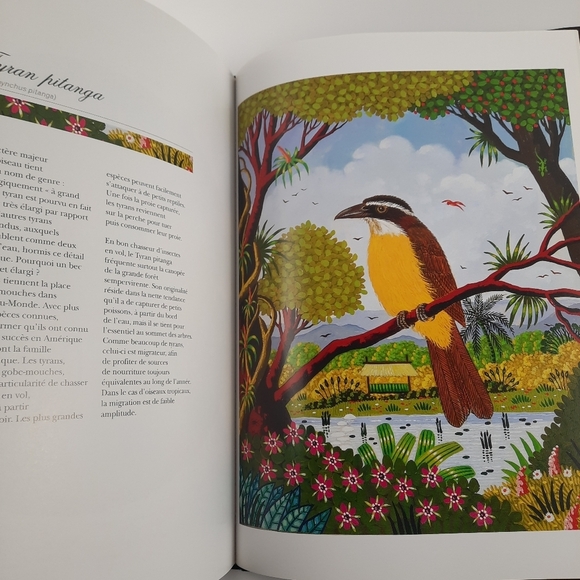 FRENCH BOOK + LITHOGRAPH Signed Alain Thomas Les Oiseaux d'Amerique du Sud Birds - Picture 8 of 14